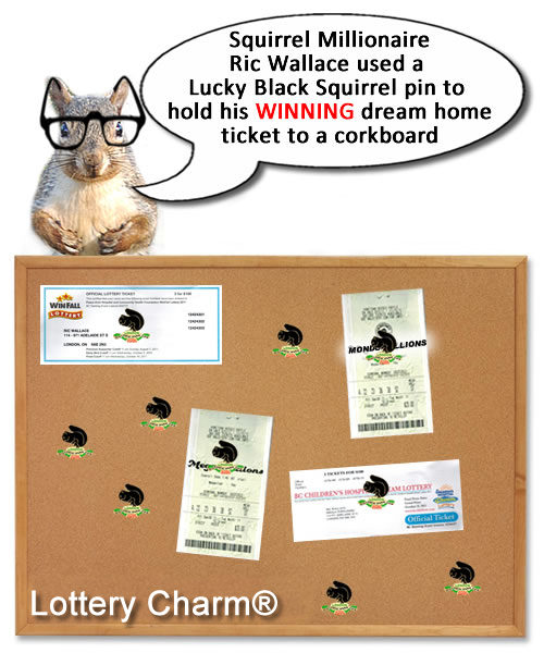 lucky black cat lotto